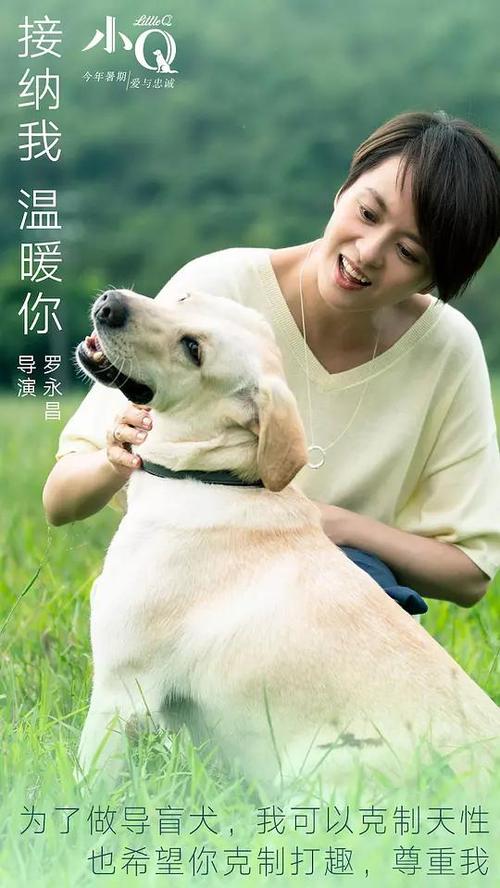 英语四级成绩单造假渠道